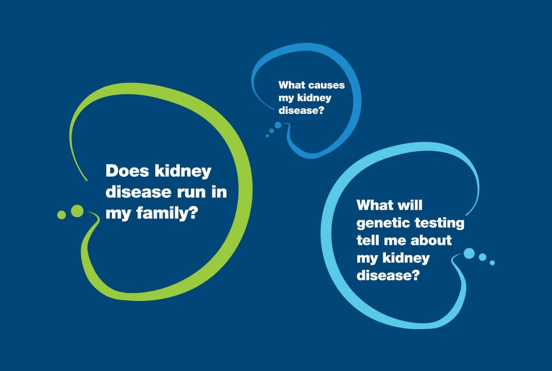 Kidney Icon