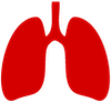 Lungs Icon